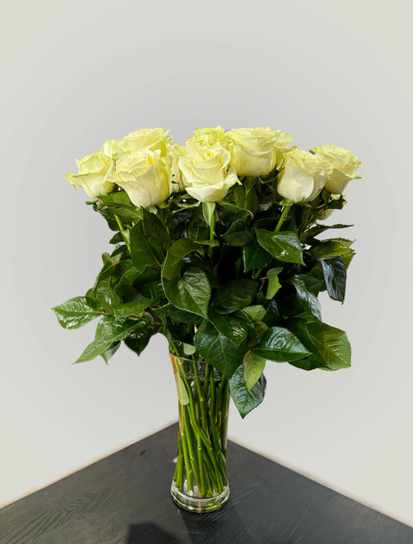 Elegant white roses
