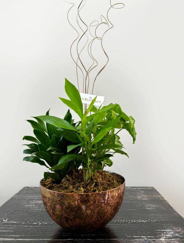 Green Harmony planter