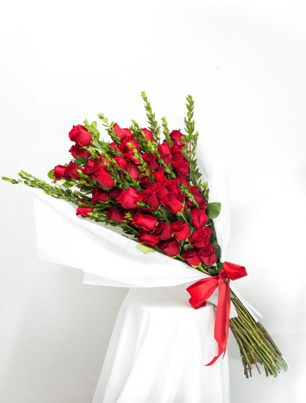 Zinnia luxury