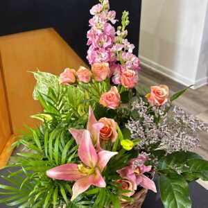 Dish Garden Pink