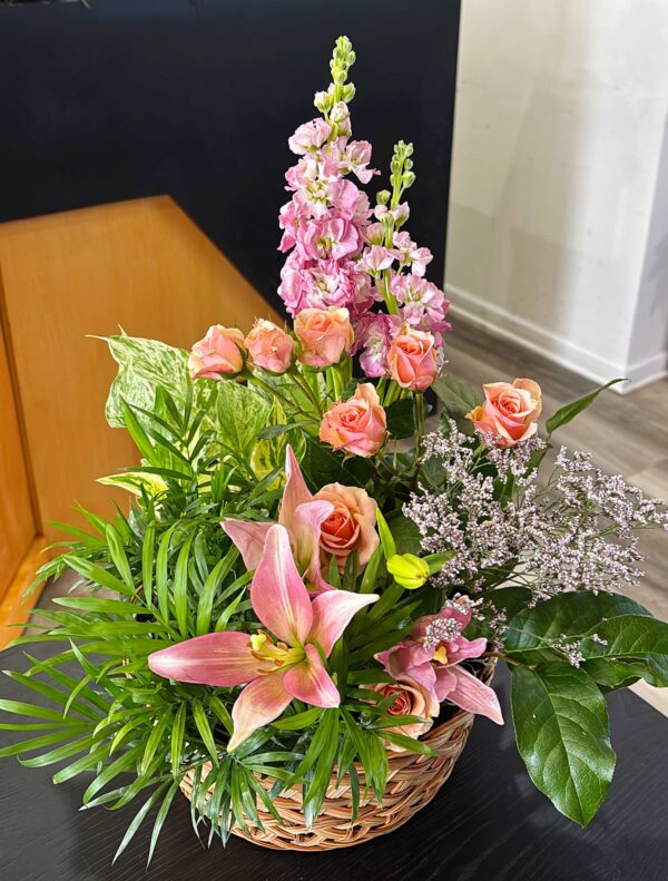 Dish Garden Pink